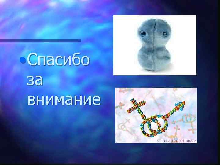  • Спасибо за внимание 