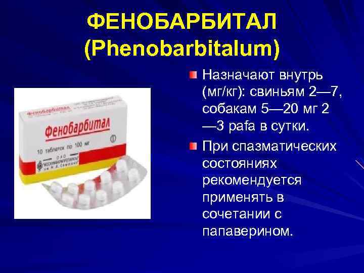ФЕНОБАРБИТАЛ (Phenobarbitalum) Назначают внутрь (мг/кг): свиньям 2— 7, собакам 5— 20 мг 2 —