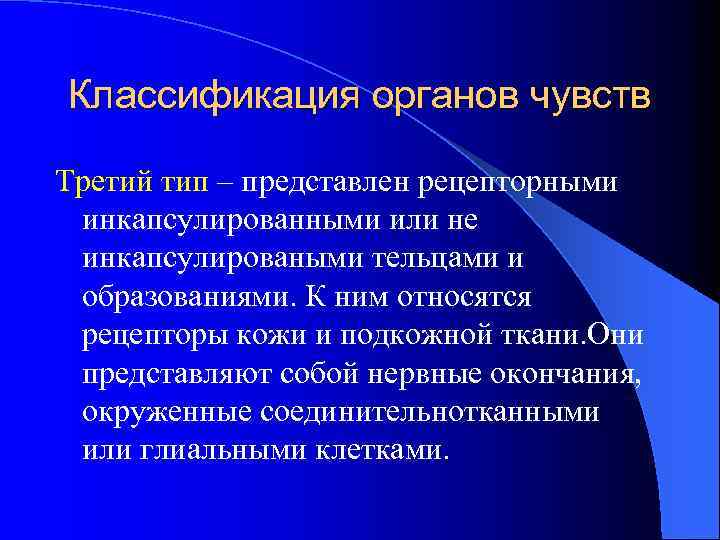 Классификация органов чувств Третий тип – представлен рецепторными инкапсулированными или не инкапсулироваными тельцами и