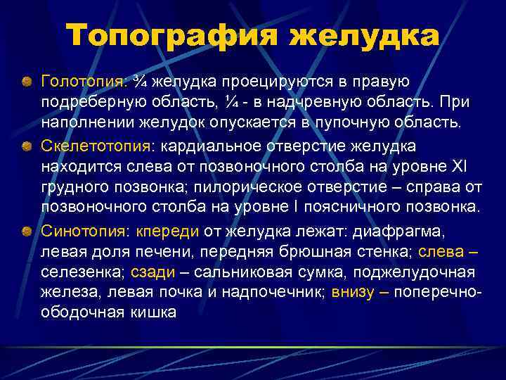 Топография желудка Голотопия: ¾ желудка проецируются в правую подреберную область, ¼ - в надчревную