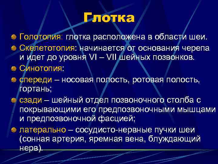 Глотка Голотопия: глотка расположена в области шеи. Скелетотопия: начинается от основания черепа и идет