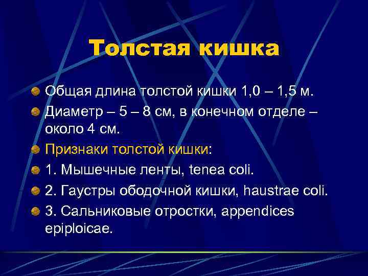 Толстая кишка Общая длина толстой кишки 1, 0 – 1, 5 м. Диаметр –