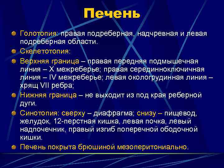 Печень Голотопия: правая подреберная, надчревная и левая подреберная области. Скелетотопия: Верхняя граница – правая