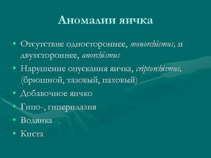 Аномалии яичка • Отсутствие одностороннее, monorchismus, и двухстороннее, anorchismus • Нарушение опускания яичка, criptorchismus,