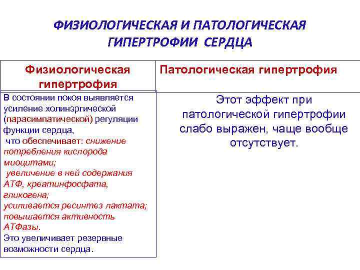 ФИЗИОЛОГИЧЕСКАЯ И ПАТОЛОГИЧЕСКАЯ ГИПЕРТРОФИИ СЕРДЦА Физиологическая гипертрофия В состоянии покоя выявляется усиление холинэргической (парасимпатической)