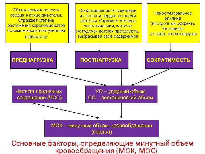 Объем крови в полости сердца в конце диастолы. Отражает степень растяжения кардиомиоцитов объемом крови