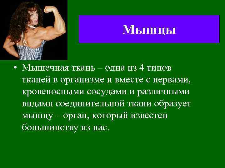 Мышцы • Мышечная ткань – одна из 4 типов тканей в организме и вместе
