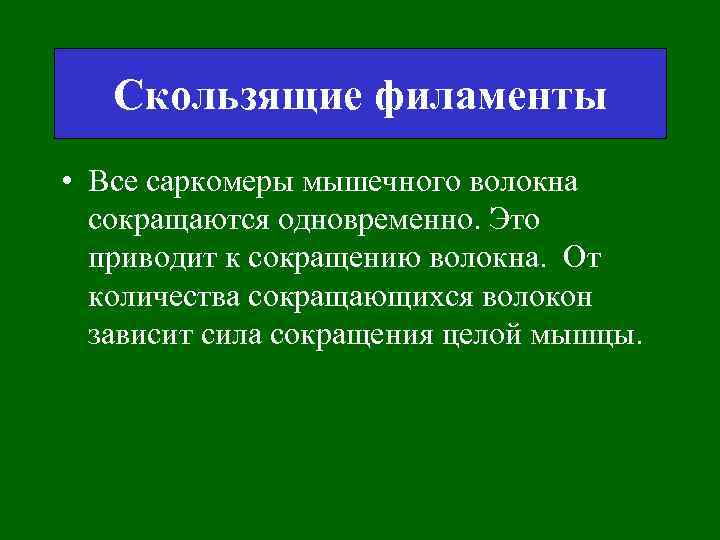 Скользящие филаменты • Все саркомеры мышечного волокна сокращаются одновременно. Это приводит к сокращению волокна.