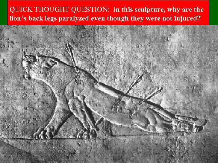 QUICK THOUGHT QUESTION: In this sculpture, why are the lion’s back legs paralyzed even