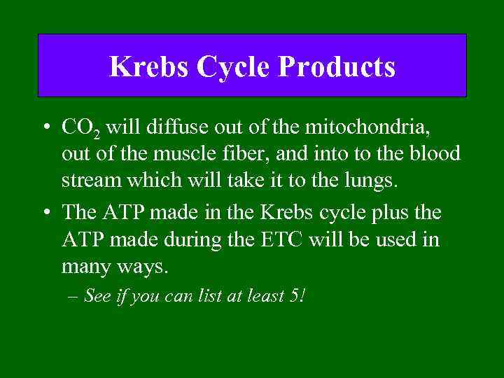 Krebs Cycle Products • CO 2 will diffuse out of the mitochondria, out of