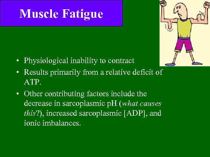 Muscle Fatigue • Physiological inability to contract • Results primarily from a relative deficit