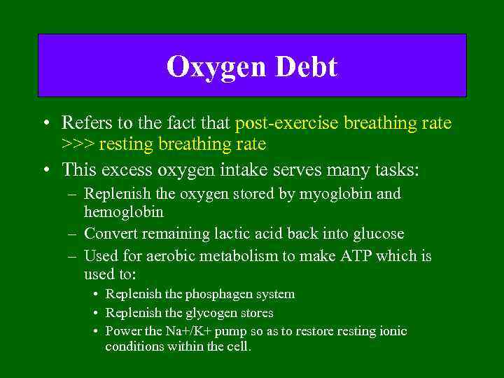 Oxygen Debt • Refers to the fact that post-exercise breathing rate >>> resting breathing