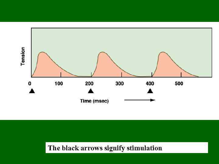 The black arrows signify stimulation 