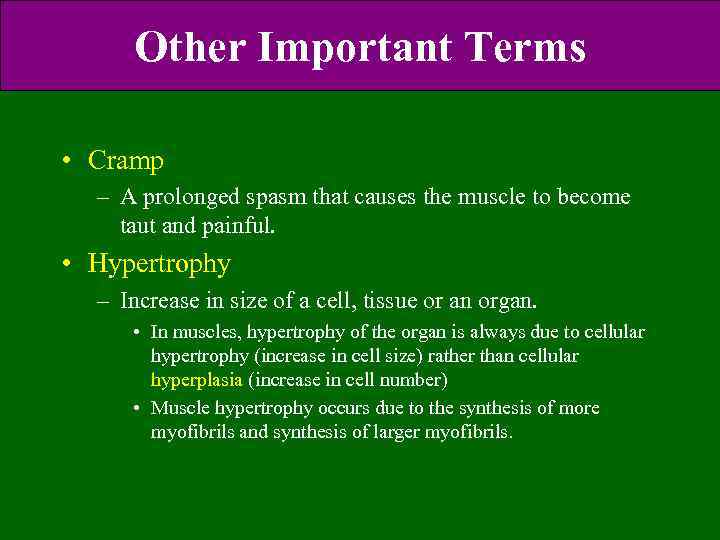 Other Important Terms • Cramp – A prolonged spasm that causes the muscle to