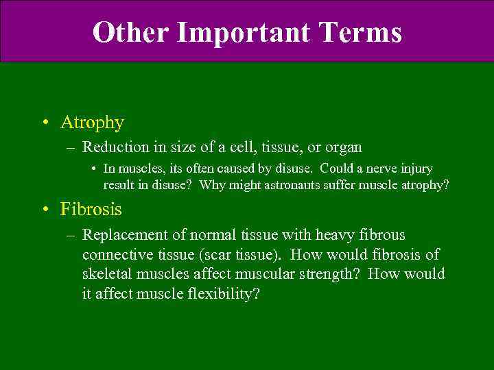 Other Important Terms • Atrophy – Reduction in size of a cell, tissue, or