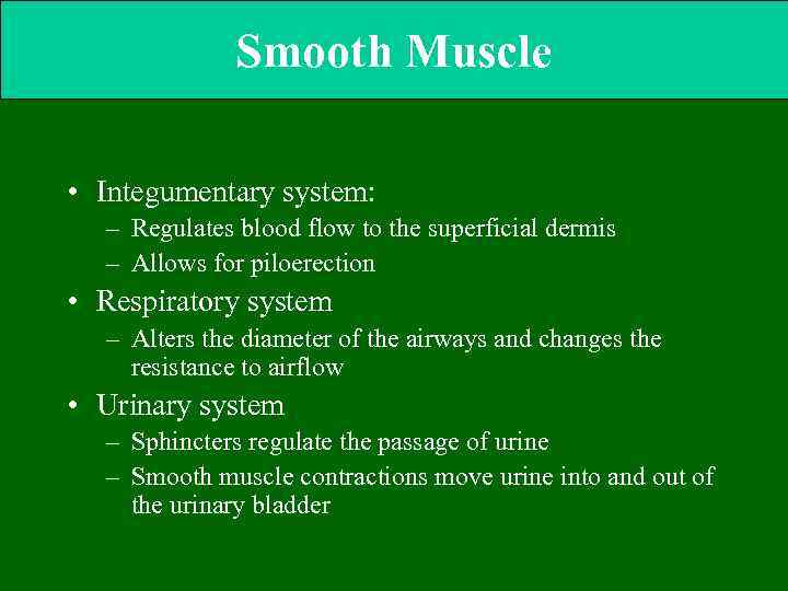 Smooth Muscle • Integumentary system: – Regulates blood flow to the superficial dermis –