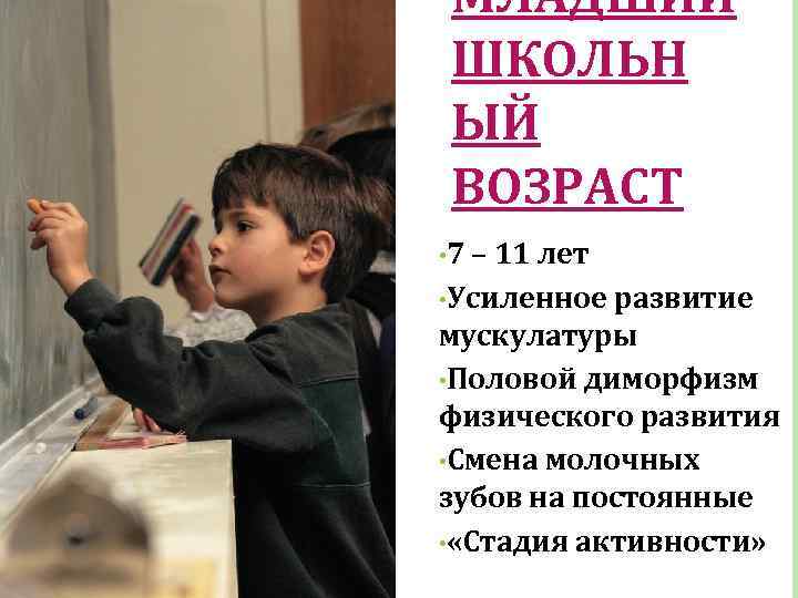 МЛАДШИЙ ШКОЛЬН ЫЙ ВОЗРАСТ • 7 – 11 лет • Усиленное развитие мускулатуры •