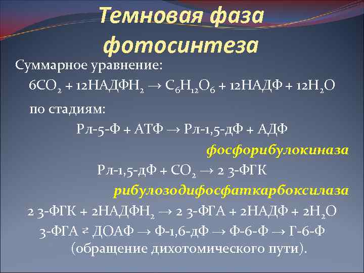 Темновая фаза фотосинтеза Суммарное уравнение: 6 СО 2 + 12 НАДФН 2 → С