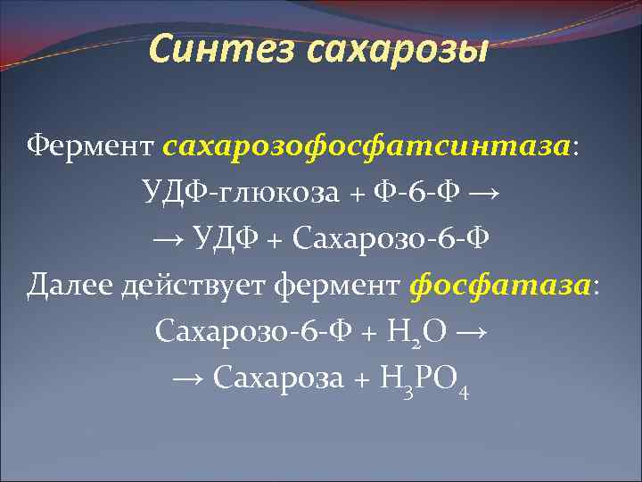 Синтез сахарозы Фермент сахарозофосфатсинтаза: УДФ-глюкоза + Ф-6 -Ф → → УДФ + Сахарозо-6 -Ф