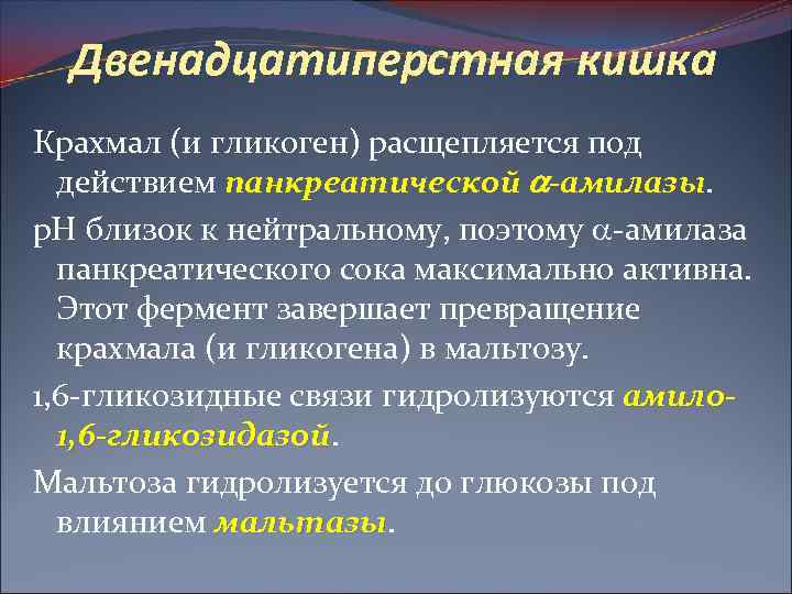 Двенадцатиперстная кишка Крахмал (и гликоген) расщепляется под действием панкреатической -амилазы р. Н близок к