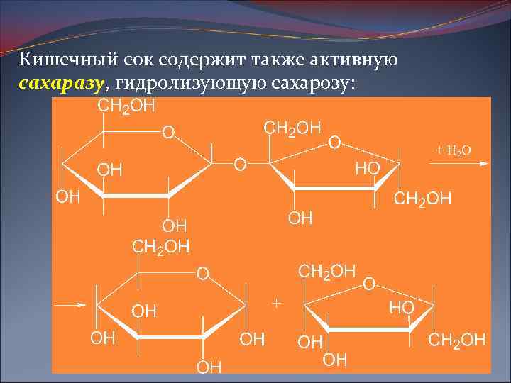 Кишечный сок содержит также активную сахаразу, гидролизующую сахарозу: сахаразу 
