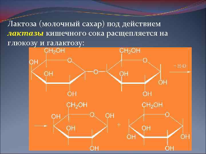 Лактоза (молочный сахар) под действием лактазы кишечного сока расщепляется на глюкозу и галактозу: 