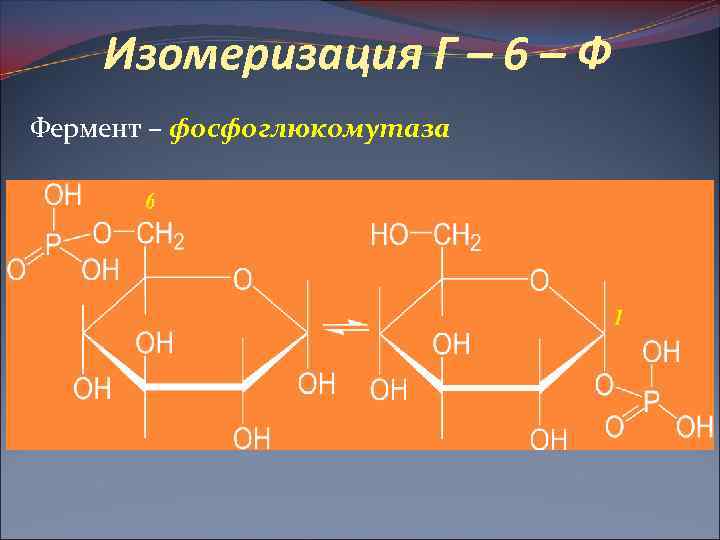 Изомеризация Г – 6 – Ф Фермент – фосфоглюкомутаза 