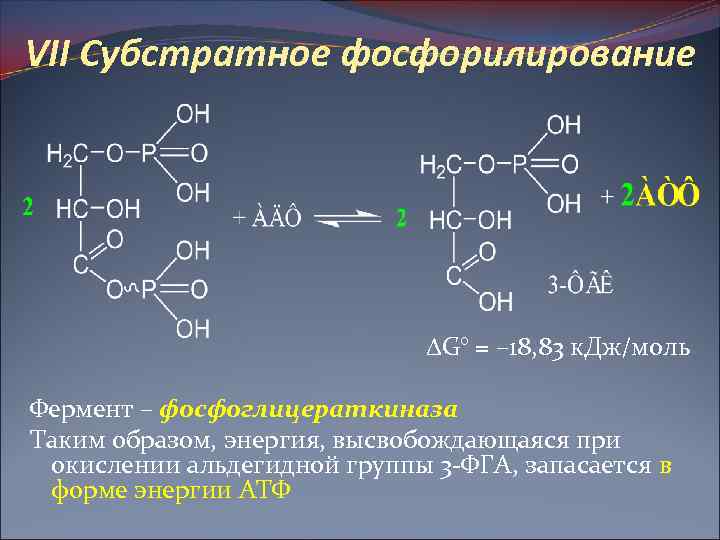 VII Субстратное фосфорилирование G° = – 18, 83 к. Дж/моль Фермент – фосфоглицераткиназа Таким