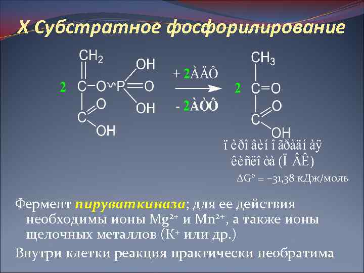 X Субстратное фосфорилирование G° = – 31, 38 к. Дж/моль Фермент пируваткиназа; для ее
