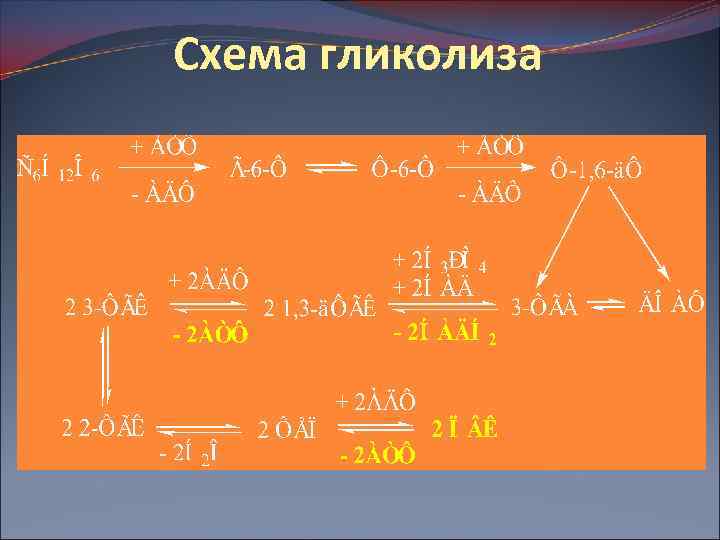 Схема гликолиза 