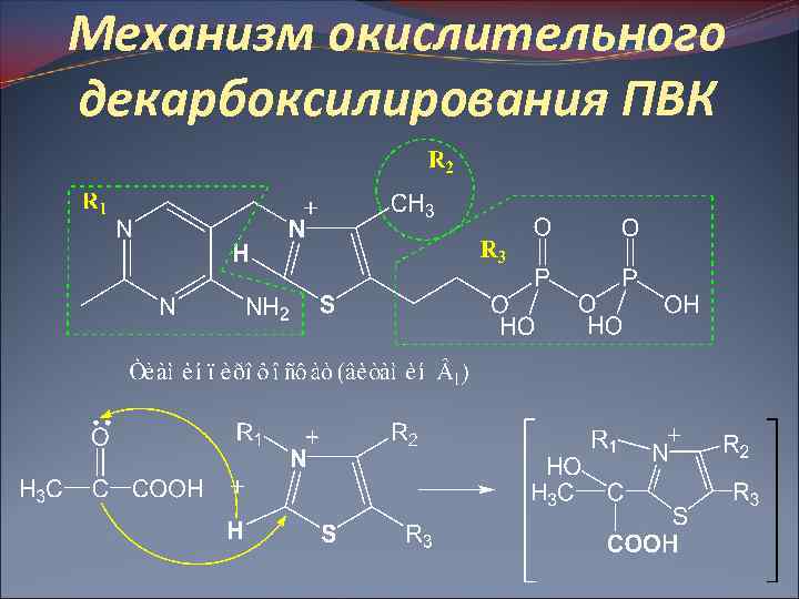 Механизм окислительного декарбоксилирования ПВК 