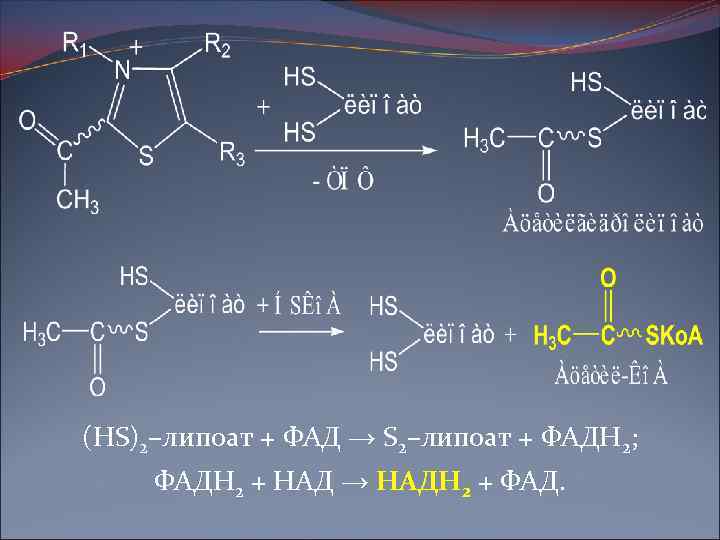 (HS)2–липоат + ФАД → S 2–липоат + ФАДН 2; ФАДН 2 + НАД →