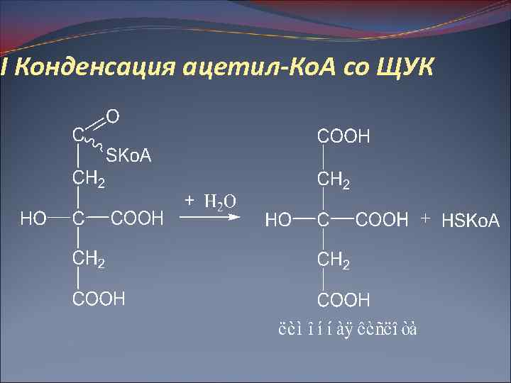 I Конденсация ацетил-Ко. А со ЩУК 