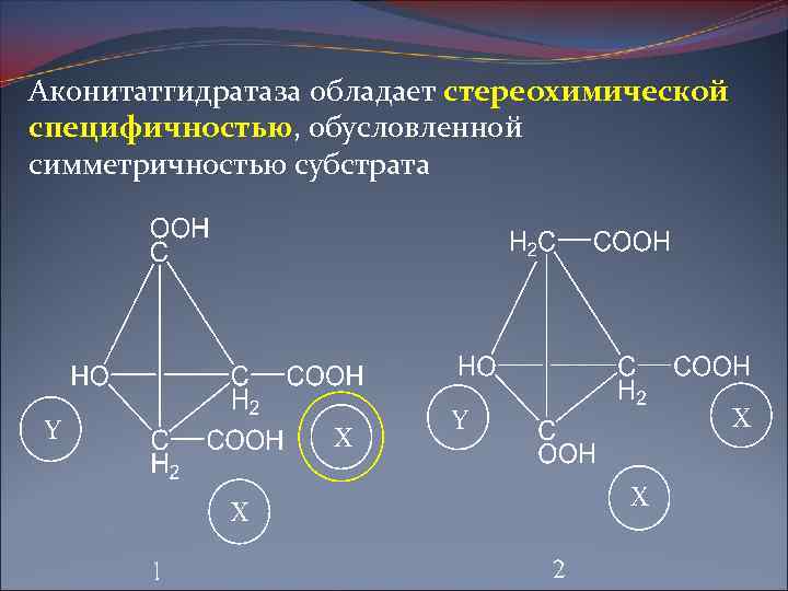 Аконитатгидратаза обладает стереохимической специфичностью, обусловленной симметричностью субстрата 