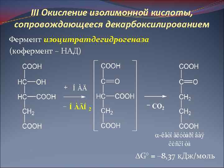 III Окисление изолимонной кислоты, сопровождающееся декарбоксилированием Фермент изоцитратдегидрогеназа (кофермент – НАД) G° = –
