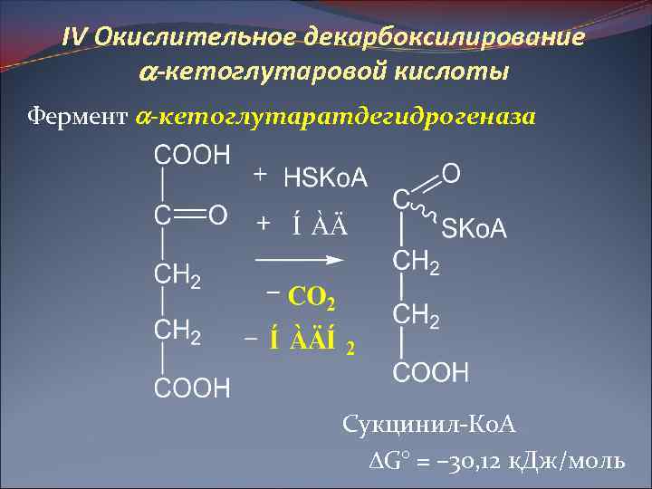 IV Окислительное декарбоксилирование -кетоглутаровой кислоты Фермент -кетоглутаратдегидрогеназа Сукцинил-Ко. А G° = – 30, 12