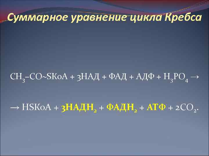 Суммарное уравнение цикла Кребса СН 3–СО SКо. А + 3 НАД + ФАД +
