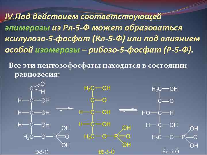 IV Под действием соответствующей эпимеразы из Рл-5 -Ф может образоваться ксилулозо-5 -фосфат (Кл-5 -Ф)