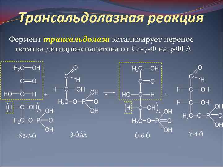 Трансальдолазная реакция Фермент трансальдолаза катализирует перенос остатка дигидроксиацетона от Сл-7 -Ф на 3 -ФГА