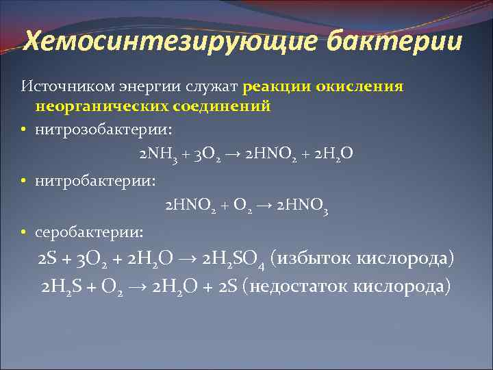 Хемосинтезирующие бактерии Источником энергии служат реакции окисления неорганических соединений • нитрозобактерии: 2 NH 3