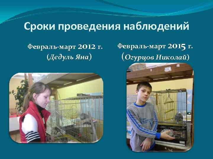 Сроки проведения наблюдений Февраль-март 2012 г. (Дедуль Яна) Февраль-март 2015 г. (Огурцов Николай) 