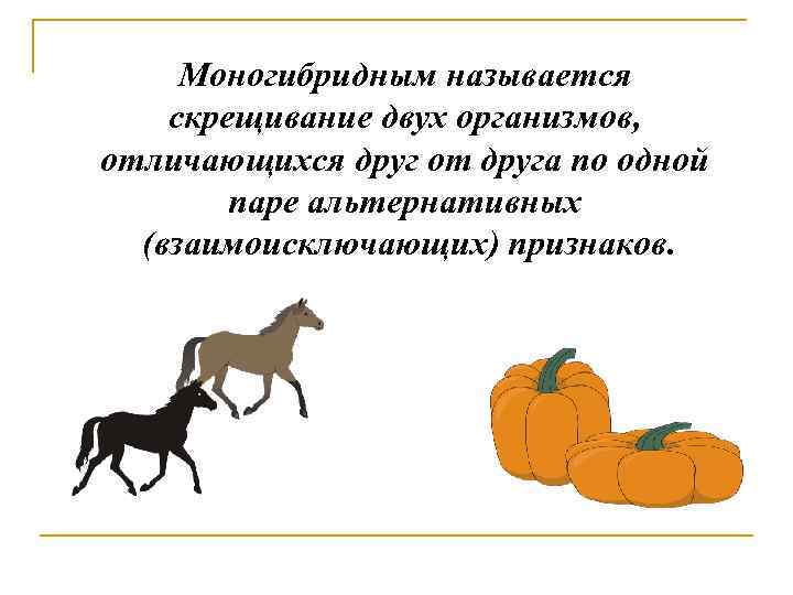 Моногибридным называется скрещивание двух организмов, отличающихся друг от друга по одной паре альтернативных (взаимоисключающих)