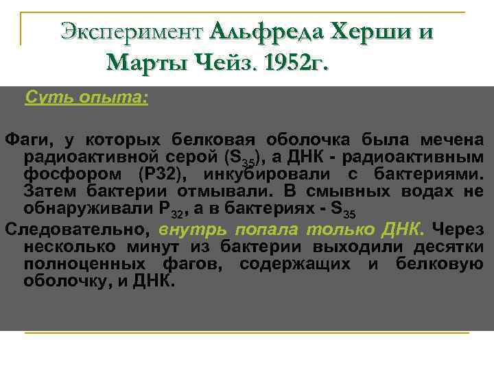 Эксперимент Альфреда Херши и Марты Чейз. 1952 г. Суть опыта: Фаги, у которых белковая
