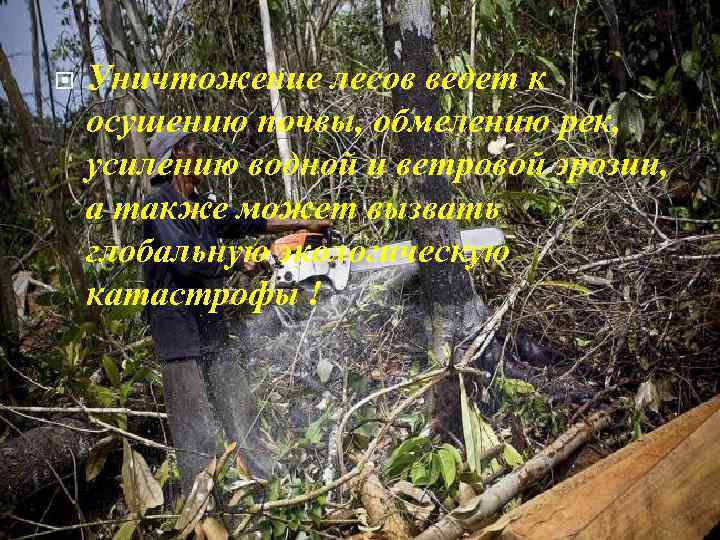  Уничтожение лесов ведет к осушению почвы, обмелению рек, усилению водной и ветровой эрозии,