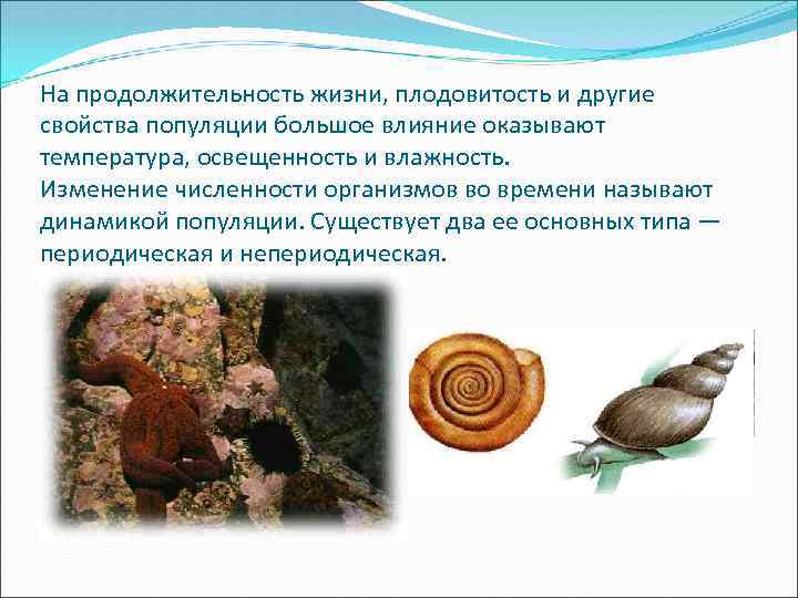 На продолжительность жизни, плодовитость и другие свойства популяции большое влияние оказывают температура, освещенность и