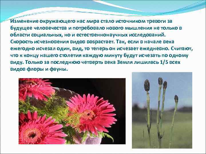 Изменение окружающего нас мира стало источником тревоги за будущее человечества и потребовало нового мышления