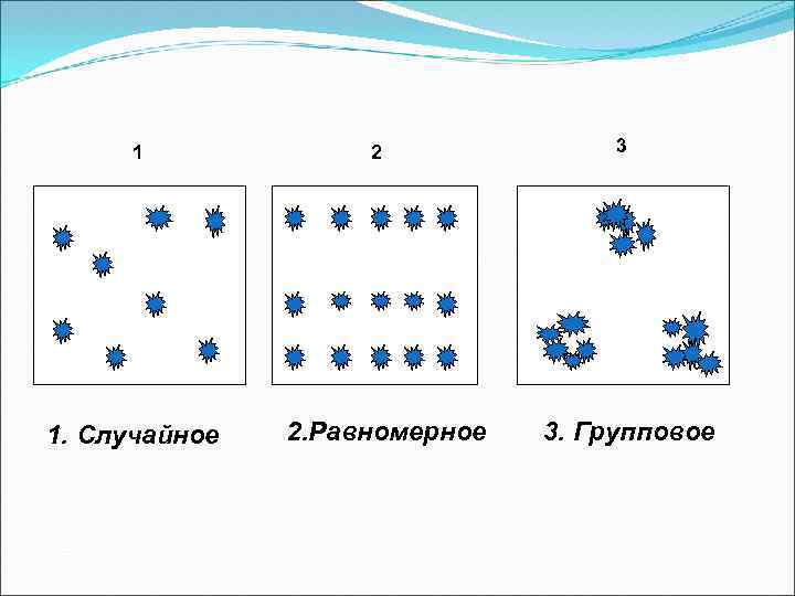 1 1. Случайное 2 2. Равномерное 3 3. Групповое 