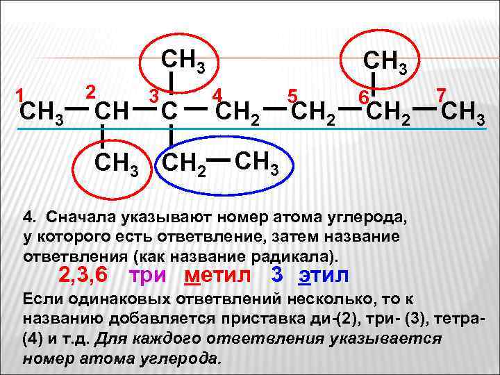 CH 3 1 CH 3 2 CH 3 CH 2 CH 3 4 CH