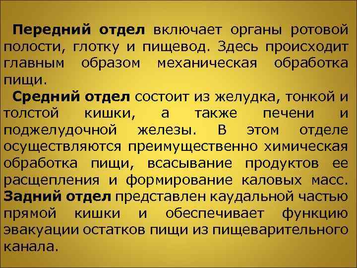 Передний отдел включает органы ротовой полости, глотку и пищевод. Здесь происходит главным образом механическая