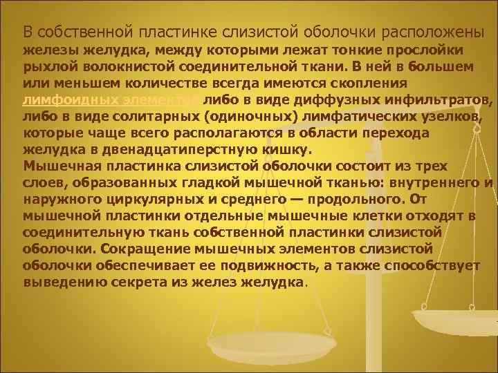 В собственной пластинке слизистой оболочки расположены железы желудка, между которыми лежат тонкие прослойки рыхлой